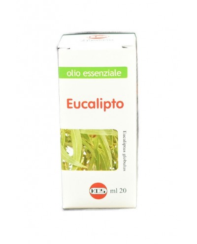 Olio essenziale eucalipto