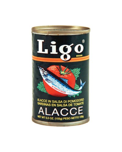 LIGO SARDINE IN TOMATO...