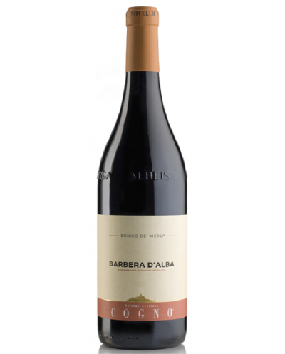 Barbera d'Alba doc Bricco...