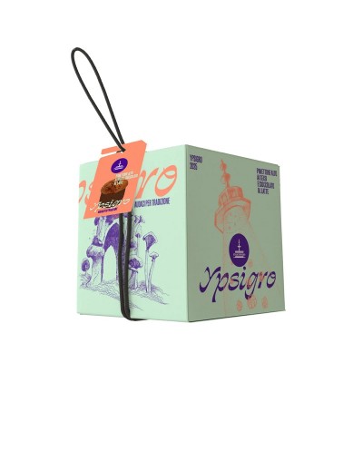 Panettone Ypsigro ai gelsi...