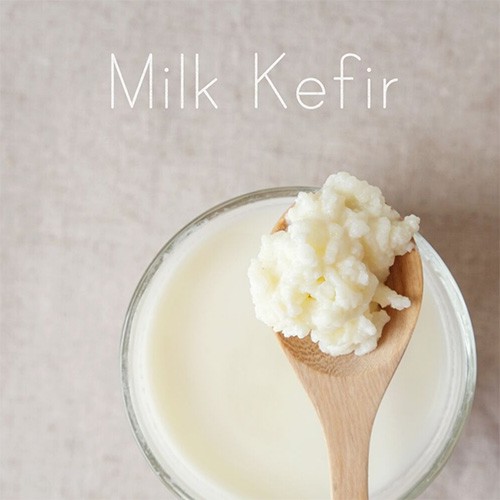 KEFIR DI LATTE: UN ALIMENTO A TUTTA SALUTE