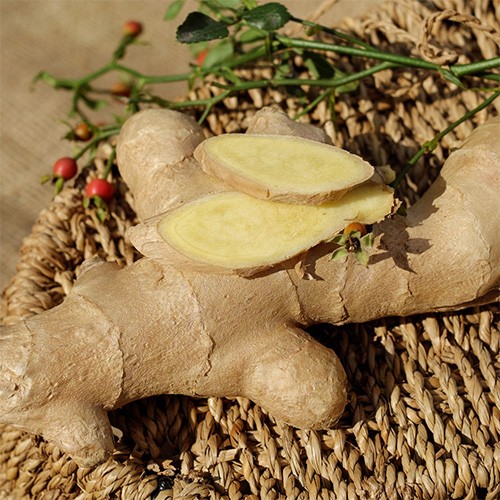 LO ZENZERO: UNA SPEZIA STRAORDINARIA